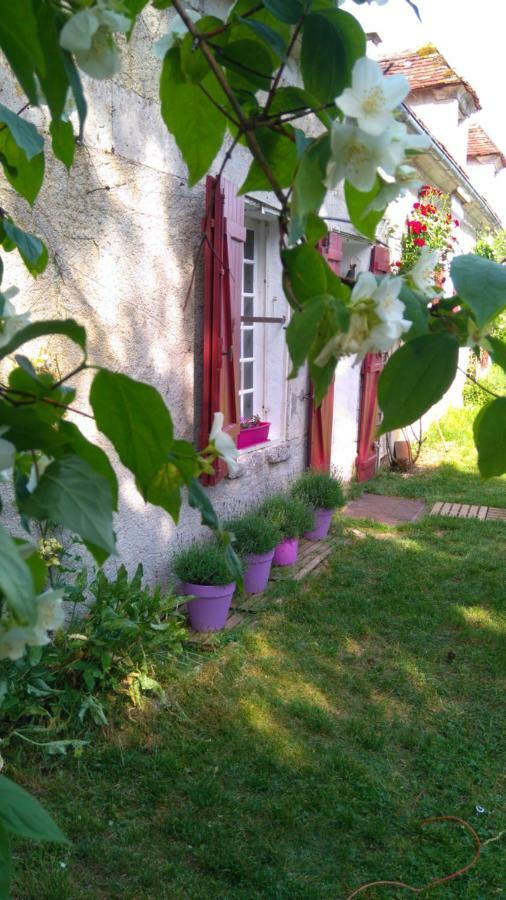 Le Vol Du Papillon Otel Treigny Dış mekan fotoğraf